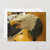 Eagle Head Postkarte (Vorne/Hinten)