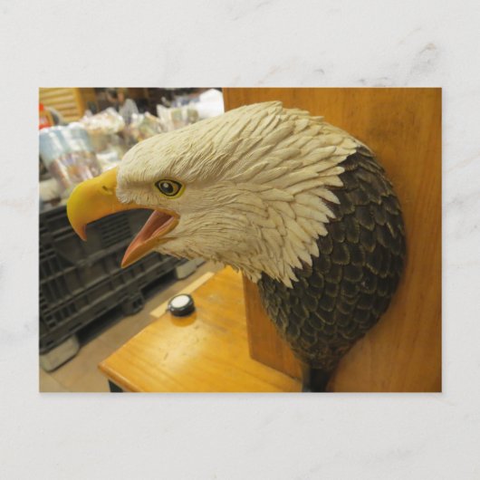 Eagle Head Postkarte (Vorderseite)