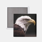 Eagle Head Study Magnet (Vorderseite/Rückseite)
