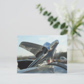 Eagle Hood Ornament Postkarte (Stehend Vorderseite)