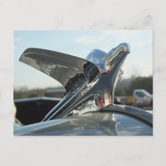 Eagle Hood Ornament Postkarte (Vorderseite)