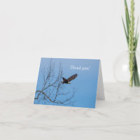 Eagle im Flug Danke Karte