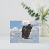 Eagle in der Sky Postcard Postkarte (Stehend Vorderseite)