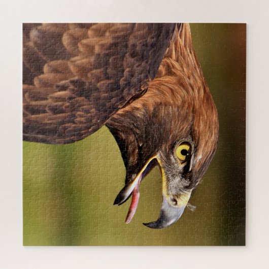 Eagle Jigsaw Puzzle (Horizontal)