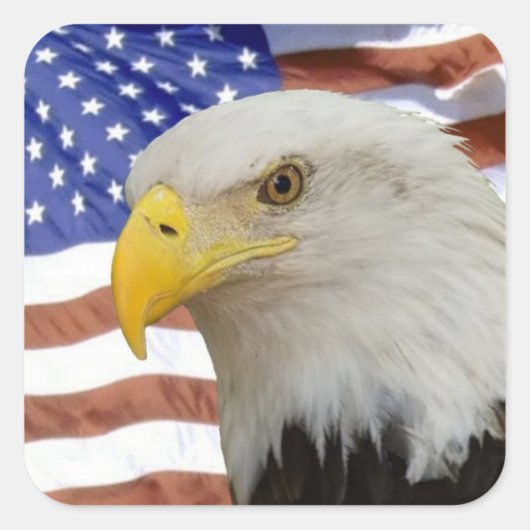 Eagle-Kennzeichnung Quadratischer Aufkleber (Vorderseite)