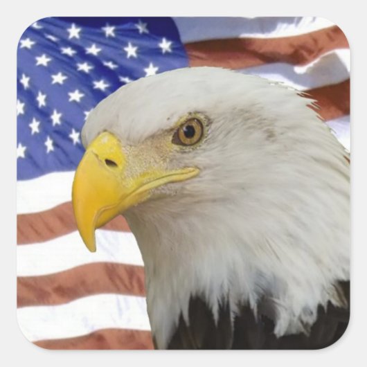 Eagle-Kennzeichnung Quadratischer Aufkleber (Vorderseite)