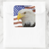 Eagle-Kennzeichnung Quadratischer Aufkleber (Tasche)