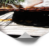 Eagle-Kiche fütternd Zeit Poster (Ecke)