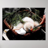 Eagle-Kiche fütternd Zeit Poster (Vorne)