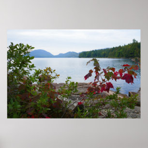 Eagle Lake und rote Ahornblätter I Poster