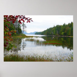 Eagle Lake und rote Ahornblätter II Poster