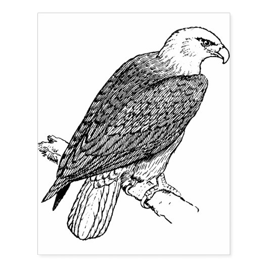 Eagle Large Card Maaking Rubber Briefmarke Gummistempel (Prägung)