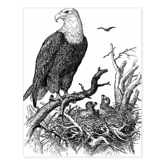 Eagle Large Card Maaking Rubber Briefmarke Gummistempel (Prägung)