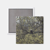 Eagle Lookout Painterly Magnet (Vorderseite/Rückseite)