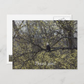 Eagle Lookout Painterly Postkarte (Vorne/Hinten)