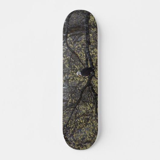 Eagle Lookout Painterly Skateboard (Vorne)