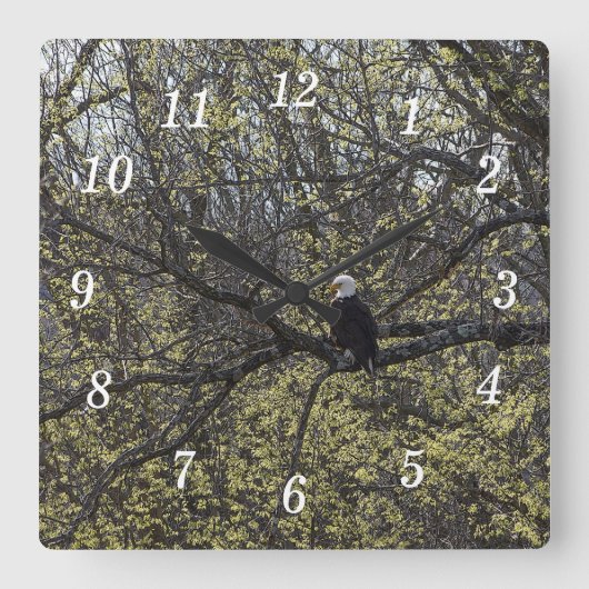Eagle Lookout Painterly Wall Clock Quadratische Wanduhr (Vorderseite)