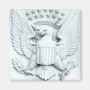 Eagle mit Sternen - Washington D C Magnet