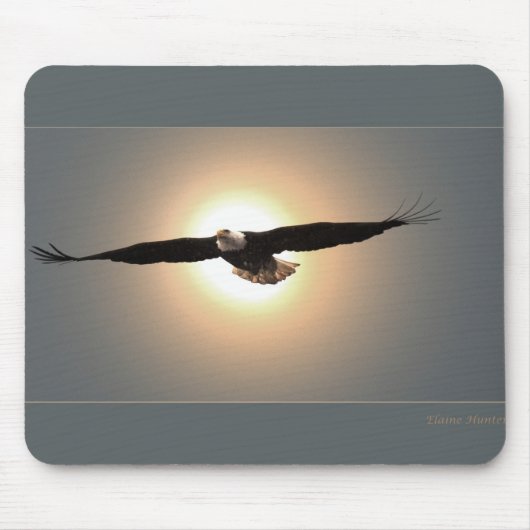 Eagle mousepad (Vorne)