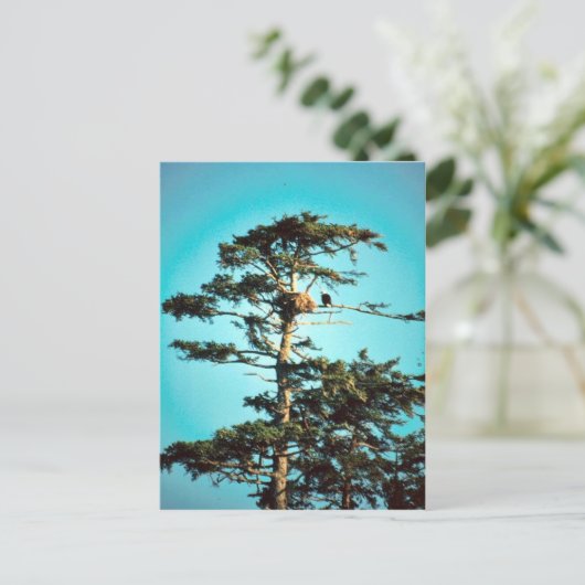 Eagle Nest Postkarte (Stehend Vorderseite)