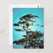 Eagle Nest Postkarte (Vorne/Hinten)