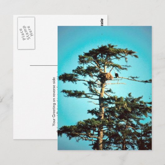 Eagle Nest Postkarte (Vorne/Hinten)