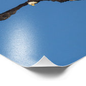 Eagle nimmt Flug Fotodruck (Ecke)