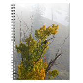 Eagle-Notizbuch Notizblock (Vorderseite)