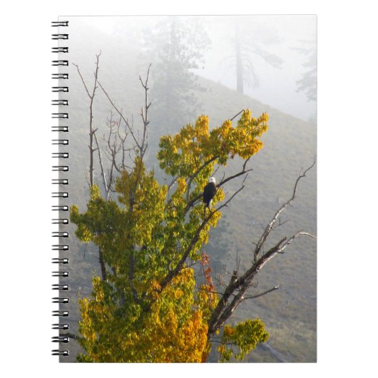 Eagle-Notizbuch Notizblock (Vorderseite)