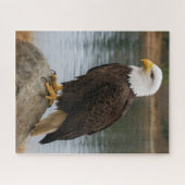 Eagle of the Quiet Shores Puzzle (Horizontal)