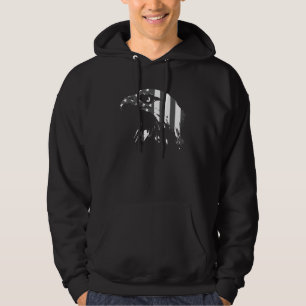 Eagle Old Glory American Flag USA Hoodie