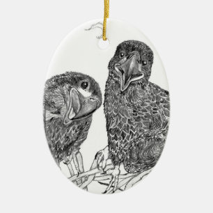 Eagle Ornament E15 & E16 ZUHAUSE SWFL Siblings