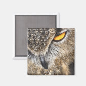 Eagle Owl (Bubo bubo) Magnet (Vorderseite/Rückseite)