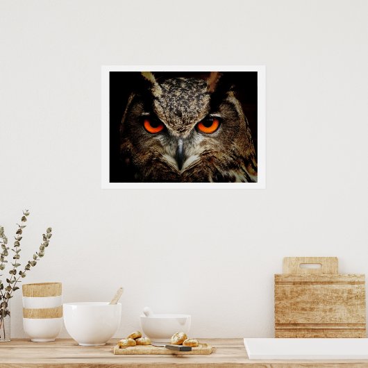 Eagle Owl Eyes Poster (Küche)
