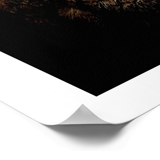 Eagle Owl Eyes Poster (Ecke)