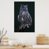 Eagle Owl Foto Poster -24x36 -kleiner erhältlich (Küche)