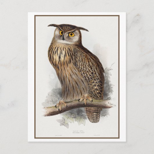 Eagle Owl Illustration von Edward Lear Postkarte (Vorderseite)