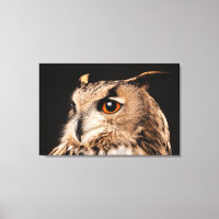 Eagle Owl