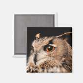 Eagle Owl Magnet (Vorderseite/Rückseite)