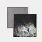 Eagle Owl Magnet (Vorderseite/Rückseite)