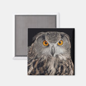 Eagle Owl Magnet (Vorderseite/Rückseite)