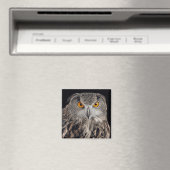 Eagle Owl Magnet (In Situ (Geschirrspüler))