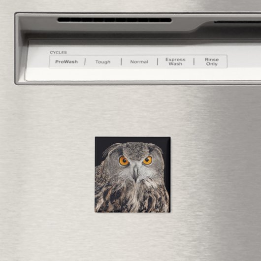 Eagle Owl Magnet (In Situ (Geschirrspüler))