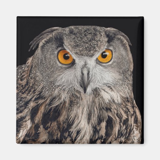 Eagle Owl Magnet (Vorne)