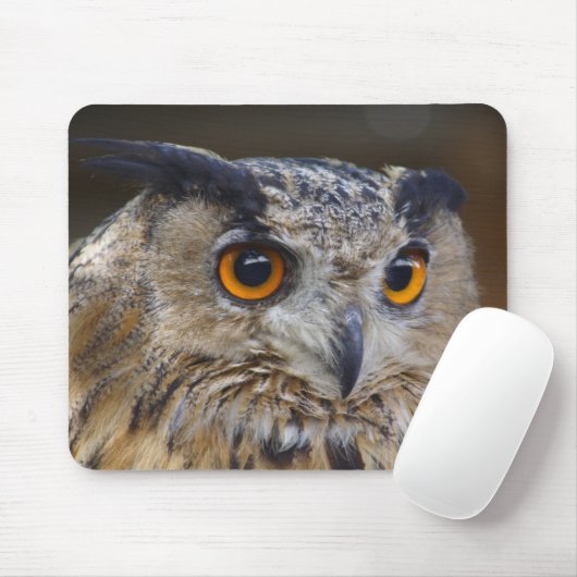 Eagle Owl Mousepad (Mit Mouse)