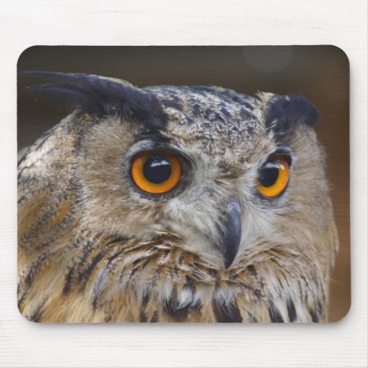 Eagle Owl Mousepad (Vorne)