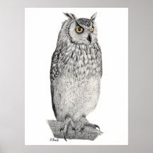 Eagle Owl Pencil Zeichnend