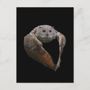 Eagle Owl Postcard Postkarte