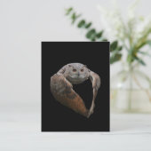 Eagle Owl Postcard Postkarte (Stehend Vorderseite)