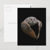Eagle Owl Postcard Postkarte (Vorne/Hinten)